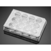 Falcon 12 Well Clear TC-Treated Cell Culture Insert Companion Plate with Lid