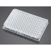 Falcon 96 Well Clear V-Bottom Not Treated Polypropylene Microplate Nonsterile