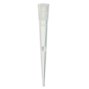 Thermo Scientific Finntip Filtered Pipette Tips Sterile 0.5-30uL