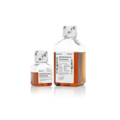 Hyclone Characterized Fetal Bovine Serum US Origin Heat Inact 50 mL (SH30071.01HI)