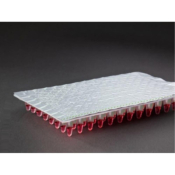 PierceASeal Foil Microplate Film 125mm x 78mm