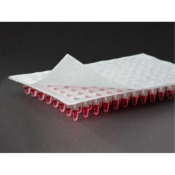 Gas PermASeal Microplate Film 125mm x 78mm