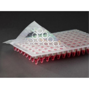 ClearASeal Perforated Microplate Film 125mm x 78mm