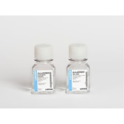 Lonza AccuGENE 10% SDS - 500mL