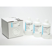 Lonza AccuGENE TAE Buffer 10X Concentration - 1L