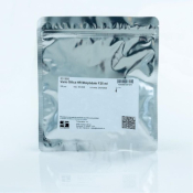 Vario Silica HR Molybdate 25ml
