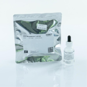 Vario Molybdate LR Set