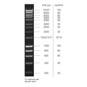 Meridian Bioscience HyperLadder 1kb - 100 Lanes