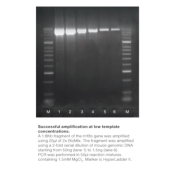 Meridian Bioscience BioMix - 500 Reactions