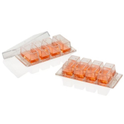 Nunc Lab Tek 4 Well Cover Glass - Research Use Only