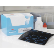 Staphylase Staphylococcus aureus ID Test Kit