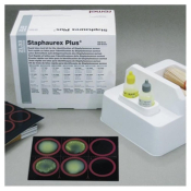 Staphaurex Plus Kit 150 Tests