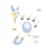 OZ Biosciences LipoMag Transfection Starter Kit