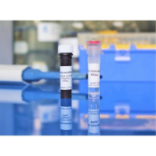 Oz Biosciences ProDeliverIN 250 ul