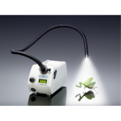 KL 2500 LED (without power cord)