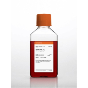 4-Nitrophenol solution, 10 mM