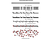 GenomePlex Whole Genome Amplification (WGA) Kit, Kit for whole genome amplification from a variety o