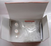 Extract-N-Amp Plant PCR Kit, sufficient for 100 extractions, sufficient for 100 amplifications