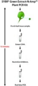 SYBR Green Extract-N-Amp Plant PCR Kit, sufficient for 100 preparations