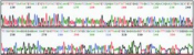 REDExtract-N-Amp Seed PCR Kit, sufficient for 100 extractions, sufficient for 100 amplifications