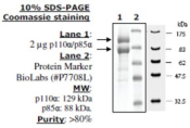 PI3 kinase (p110a/p85a) Active human, recombinant, expressed in baculovirus infected insect cells, >