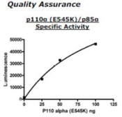 PI3 kinase [p110a(E545K)/p85a] Active human, recombinant, expressed in baculovirus infected insect c