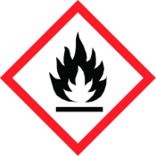 21x21mm Flammable GHS Symbols