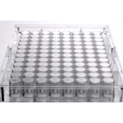 SLS Select Microplate 96 F Well PS