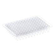 Thermo Scientific 96 Well PCR Plate Non-Skirted Clear