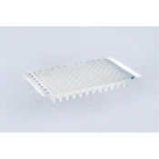 Sealing Film for Microplates Polyester Pressure Sensitive for ELISA and Real Time PCR (Temperature r