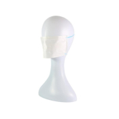 FaceGuard 2 Facemasks Earloops Ind Pack