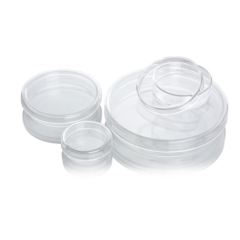 PYREX Glass Petri Dish
