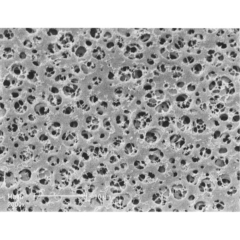 Sartorius Cellulose Acetate Membrane Filters Type 11106