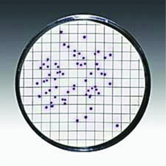 Filter Membrane CN