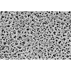Sartorius Polyamide (Nylon) Membrane Filters Type 25006