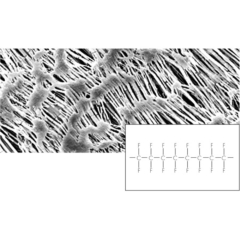 Sartorius Hydrophobic PTFE Membrane Filters Type 11803