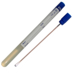 Transport Swabs