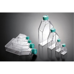 ClearLine Tissue Culture Flask