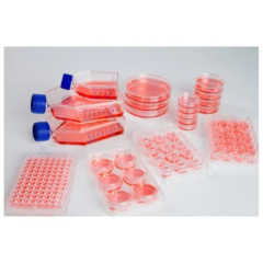 Nunc Flask Nunclon Sphera
