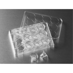 Cell Culture Inserts