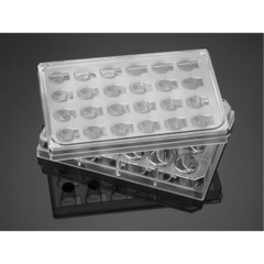 FluoroBlok HTS 24 Multiwell Insert System