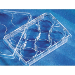 Corning Costar Ultra-Low Attachment Well  Multiwell Plates, Clear, Flat Bottom, Sterile,  Individual