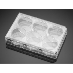 Corning Primaria Well Surface-Modified Multiwell Culture Plate with Lid, Clear, Flat  Bottom, Steril