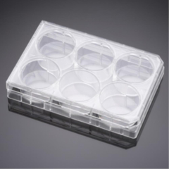 Corning BioCoat Poly-D-Lysine Well TC Treated  Multiwell Plate, Clear, Flat Bottom, with Lid,  Nonst