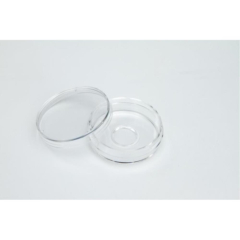 Glass Bottomed Dish