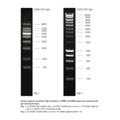 Meridian Bioscience Agarose Molecular Grade