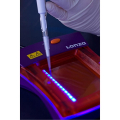 Lonza FlashGel