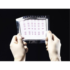 Lonza GelBond Polyacrylamide Support Film Sheets