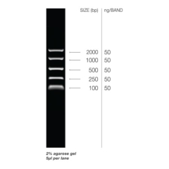 Electrophoresis Ladders & Markers