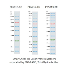 Accuris SmartCheck Tri-Colour Protein Marker